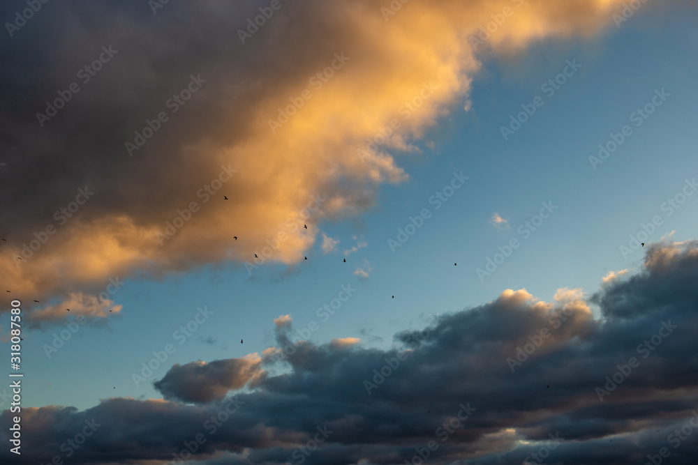 dramatic sky with clouds and seagulls