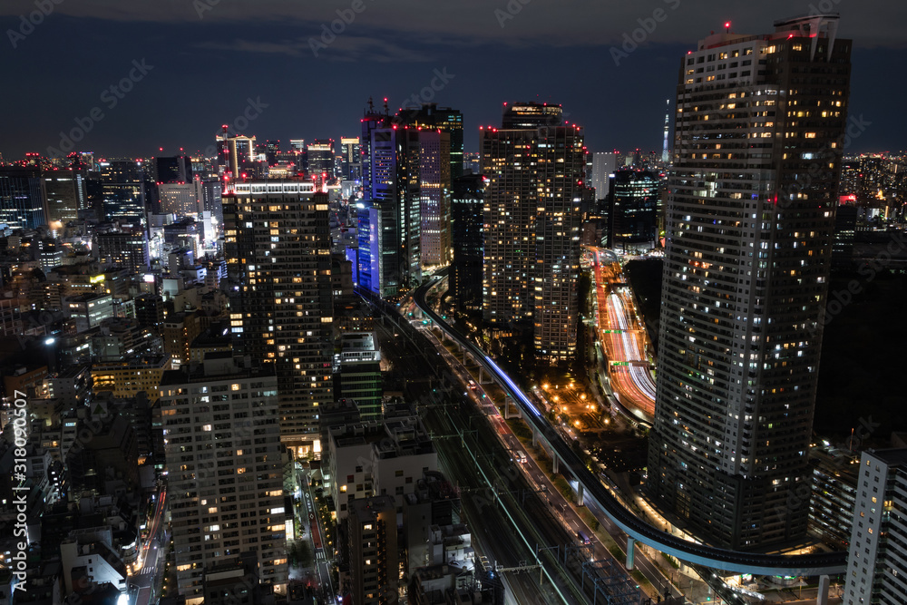 Fototapeta premium 浜松町から見たスカイツリー方面の夜景とビル群