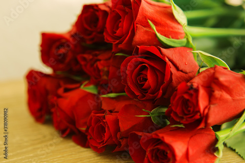 Red rose for lovers day. Valentine s day