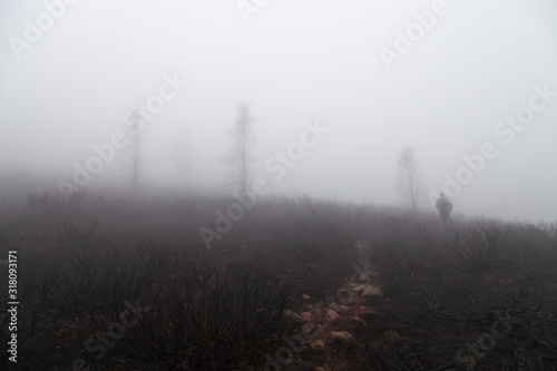 Soft view of a distant mountain hiker through the fog, hiking over the burned ground after a fire