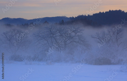 冬の雪景色