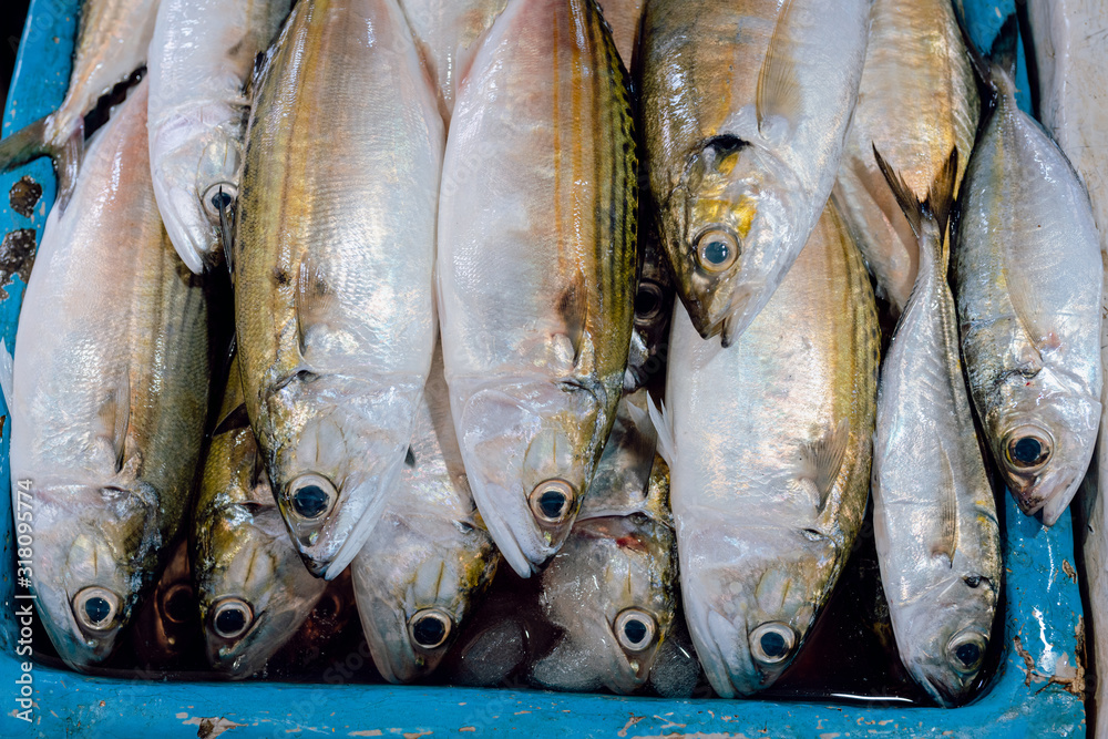 Fototapeta premium Fresh fish selling in the fish market in Kedonganan - Passer Ikan, Jimbaran beach Bali