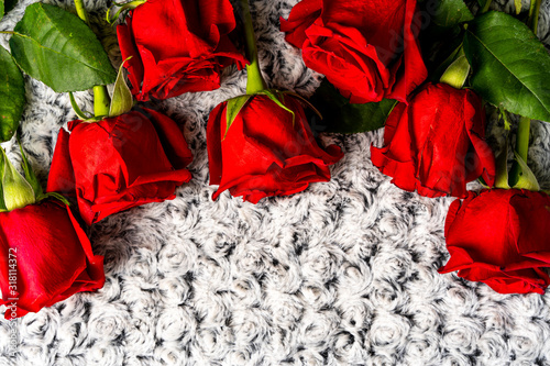 Close-up of red roses on knitted white carpet © Synergic Works OÜ