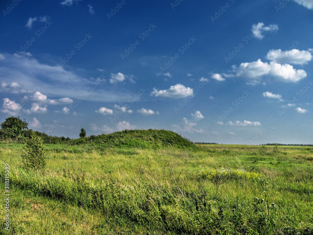Summer field of grass against the background of the forest and blue sky in Russia
