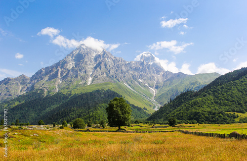Beautiful landscape of the meadow on a background of snow-capped peaks of the Caucasus Mountains of Georgia © nelasova