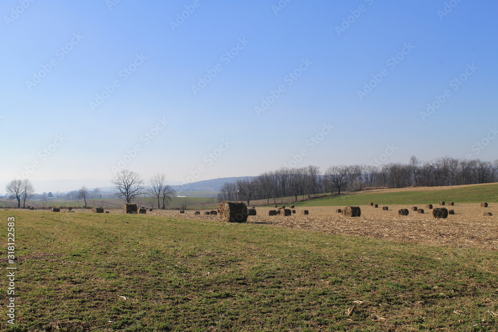 Obraz premium Farm Life