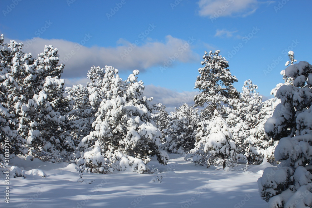 winter mountain landscape with trees and snow winter mountain landscape with trees and snow