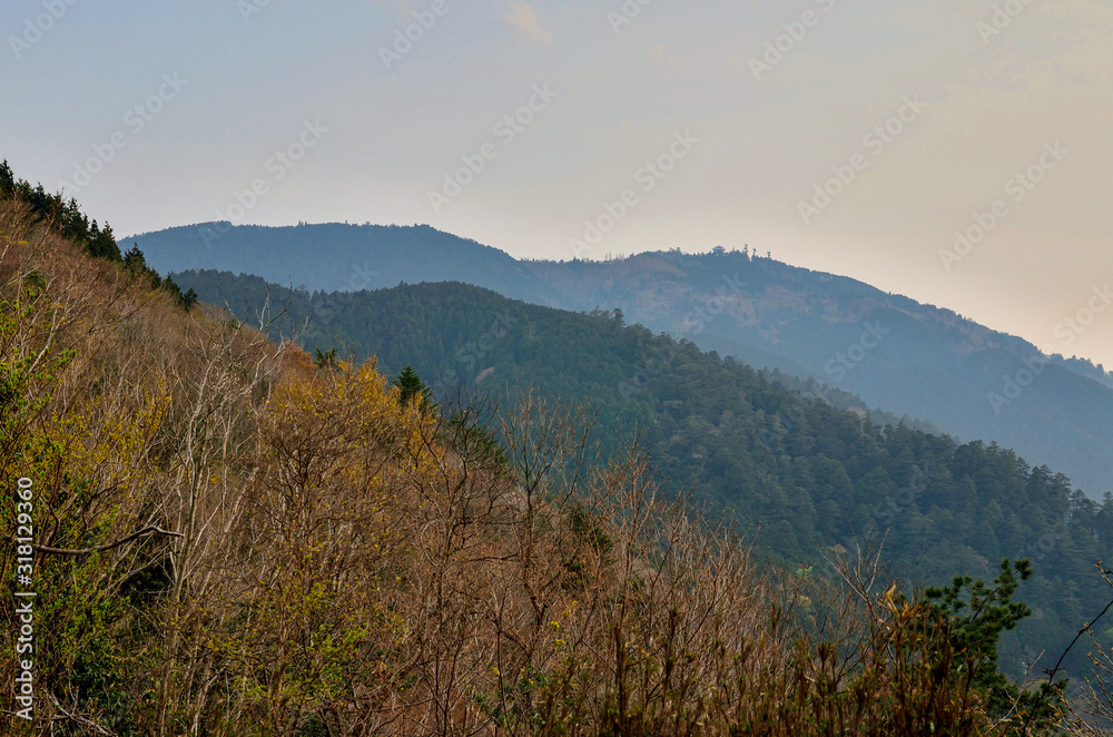京都一周トレイル　北山コース　玉体杉付近からの眺め
