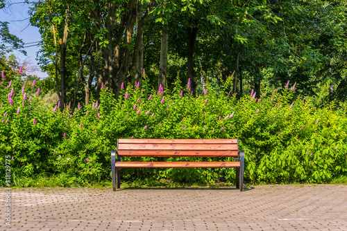 The empty bench in the park at sunny day
