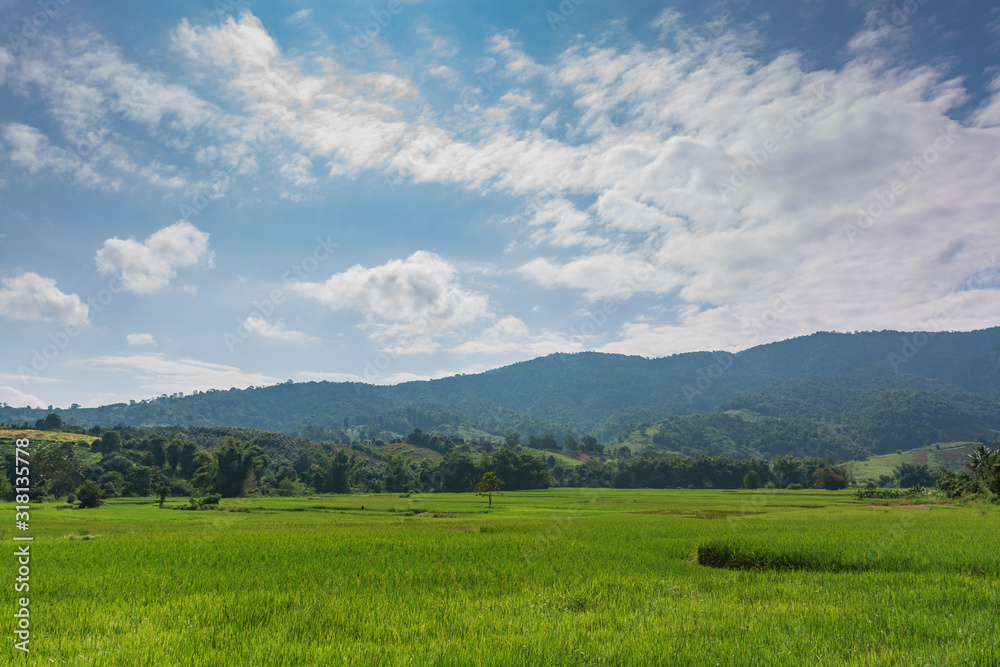 Scenic View Of Rice Field And Moutains Against Sky