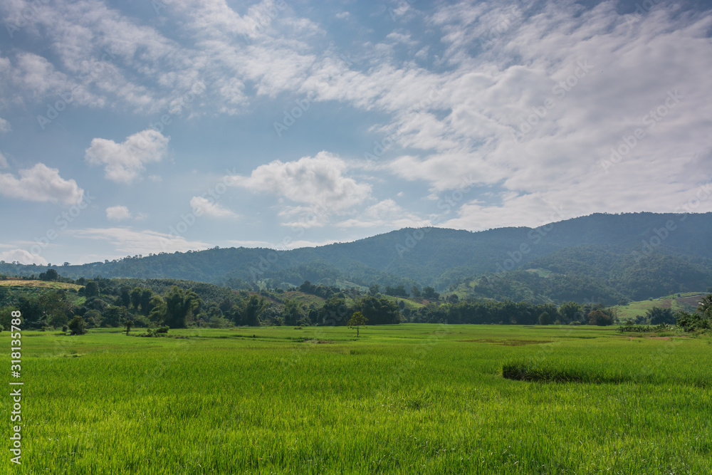 Scenic View Of Rice Field And Moutains Against Sky