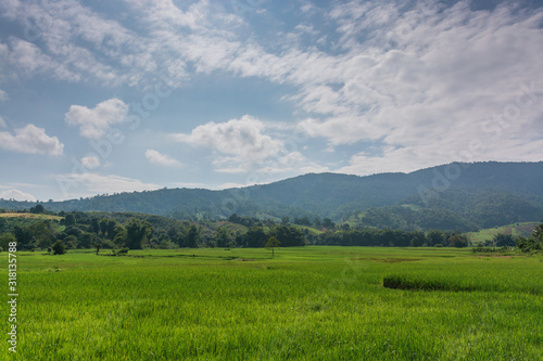 Scenic View Of Rice Field And Moutains Against Sky © Sitthipong