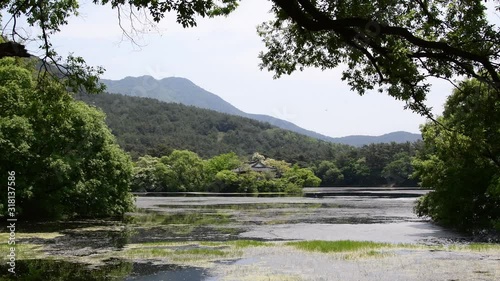 Miryang Weiyang Lake in spring landscape