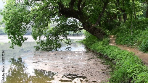 Miryang Weiyang Lake in spring landscape