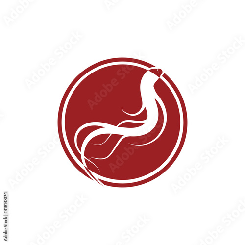 Ginseng icon Vector Illustration design Logo