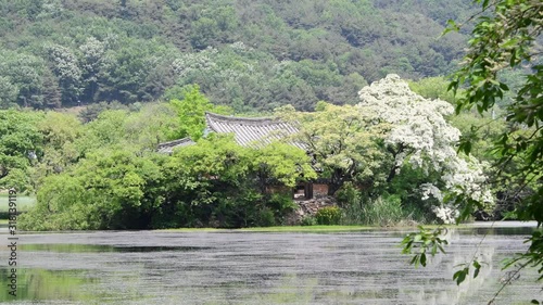 Traditional Hanok in Lake with Beautiful Spring Light, South Korea.