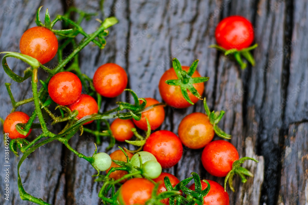 Traditional small fresh tomato fruit on wood background