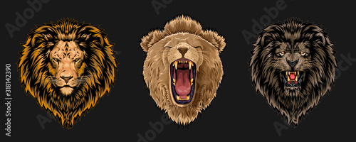 Lion face vector set collection graphic clipart design