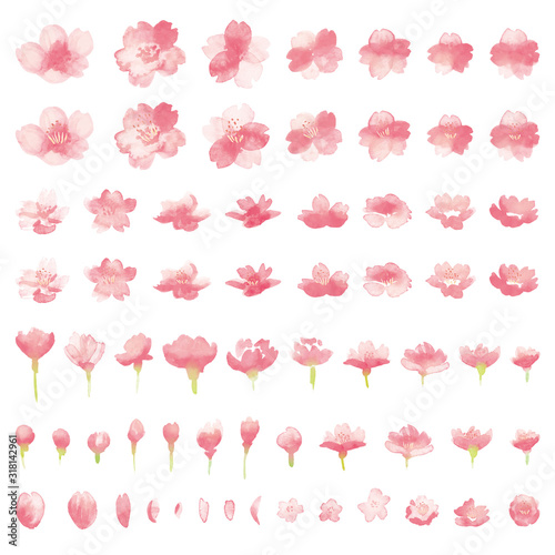 Valokuva 桜の水彩イラストパーツセット-Watercolor cherry blossoms