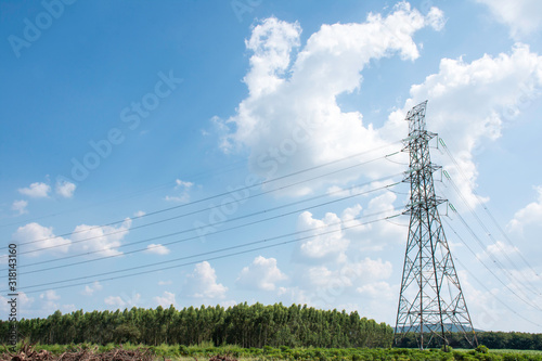 Electricity transmission line with green tree nature, Green conservative energy, Energy be friendly with environment concept, Power distribution pylon system to rural community and countryside