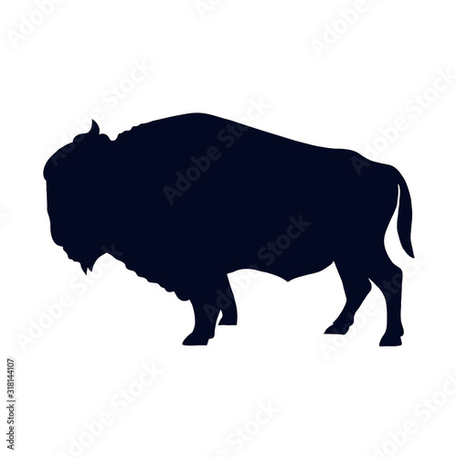 Buffalo Silhouette Isolated On White Background Vector Illustration photo