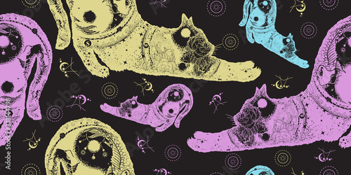 Magical cat animals double exposure. Seamless pattern. Packing old paper, scrapbooking style. Vintage background. Medieval manuscript, engraving art. Harmony yin and yang symbol