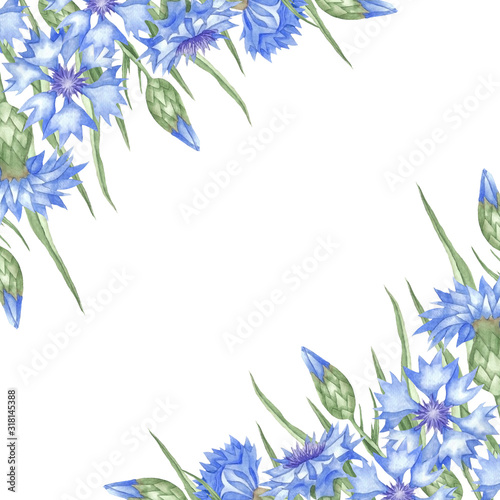 Frame Cornflowers