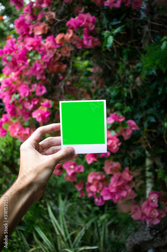 Holding Polaroid in front of pink flowers (Portrait)