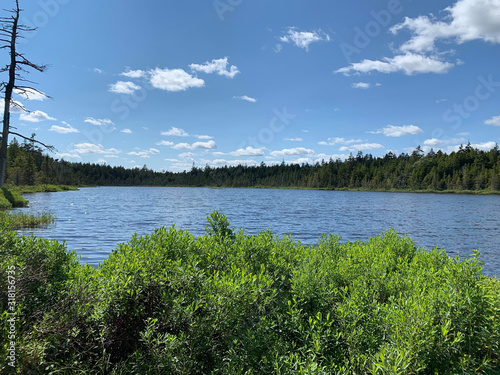 ‎⁨Laverty Lake vacation in summer © Salna