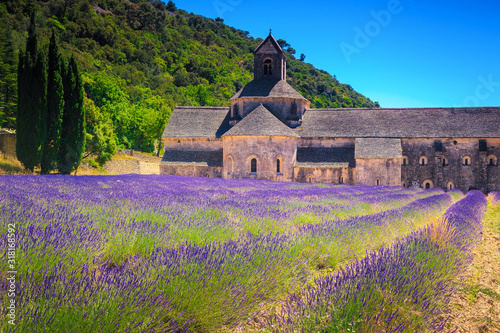 Fototapeta Naklejka Na Ścianę i Meble -  Abbey of Senanque with beautiful lavender fields, Gordes, Provence, France