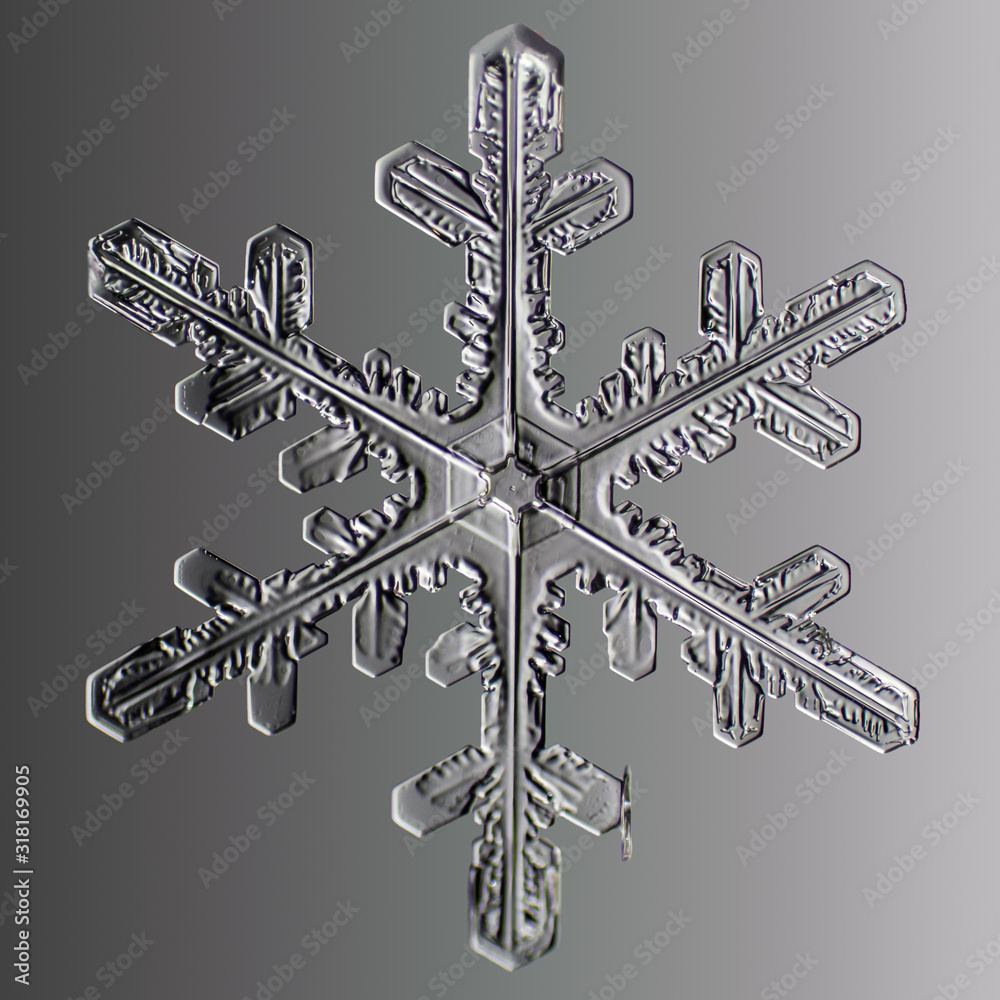 real snowflake close-up on a dark background real snowflake close-up on a dark background