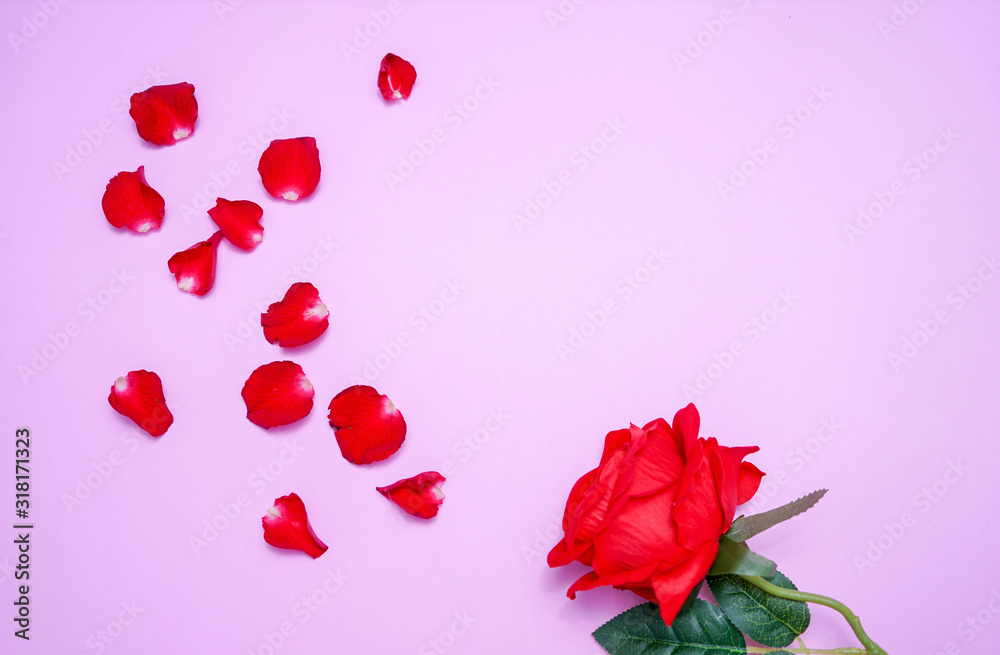 greeting card with red roses and red gif box with pastel pink background greeting card with red roses and red gif box with pastel pink background
