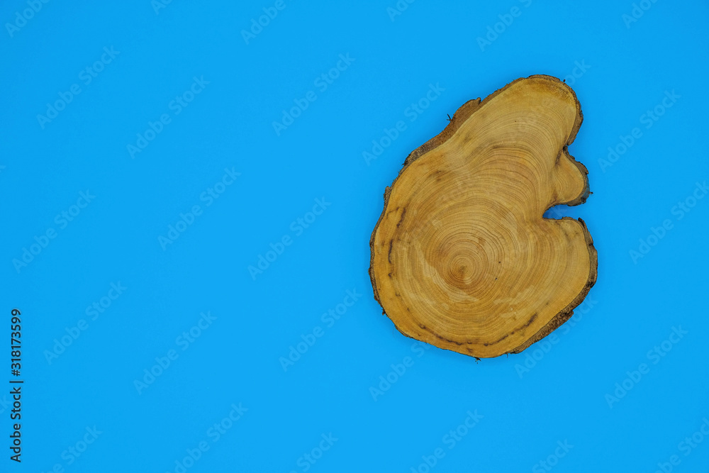 Figured piece of juniper trunk with annual rings on a blue background in Ukraine. Copy space. Minimalism. Figured piece of juniper trunk with annual rings on a blue background in Ukraine. Copy space. Minimalism.