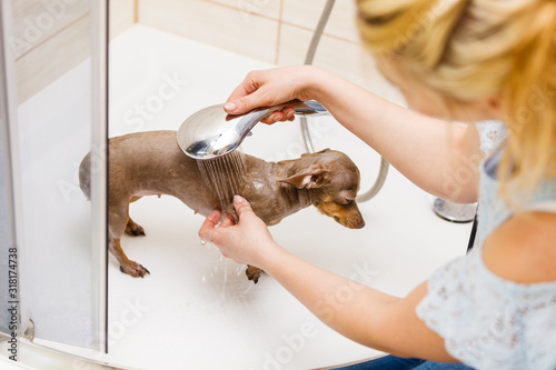 Woman showering her dog