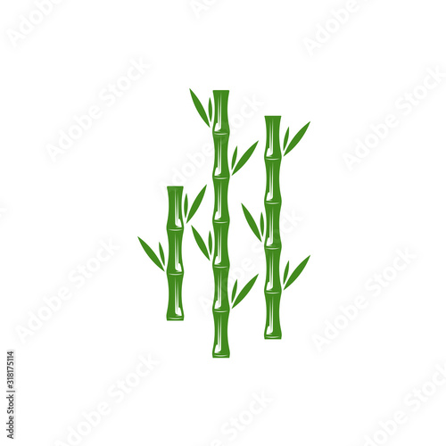 Bamboo logo template. Green bamboo trees vector design. Bamboo stem logotype