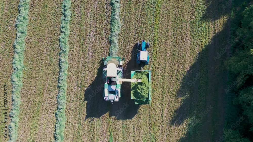 Harvester Collects Mown Grass And Pours It Into Tractor Trailer Aerial Top View Harvester Collects Mown Grass And Pours It Into Tractor Trailer Aerial Top View