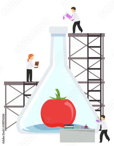 Scientists Study Tomato Gla...