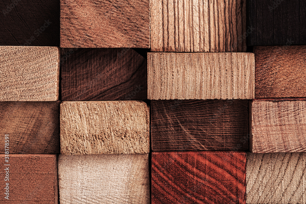 Fototapeta premium Set of exotic valuable wood for the catalog, texture and structure of the material