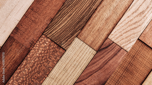Fotografi Set of exotic valuable wood for the catalog, texture and structure of the materi