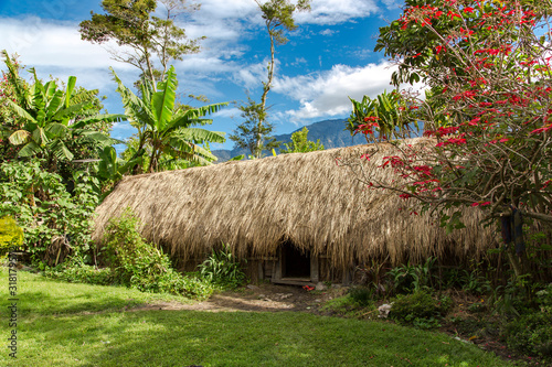 Aboriginal thatched roof hut is a typical abode of the indigenous population of Papua New Guinea.The hut is an open styled home to allow the cool breeze and fresh air to come inside.