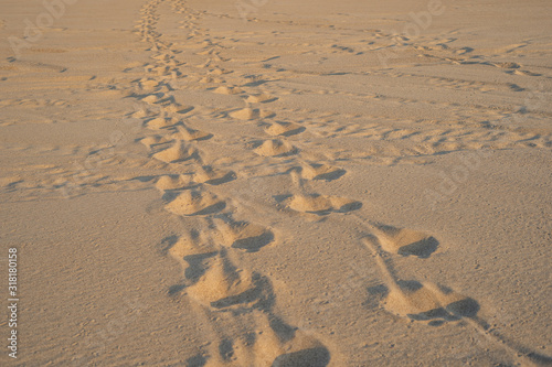 Footprint on the beach background
