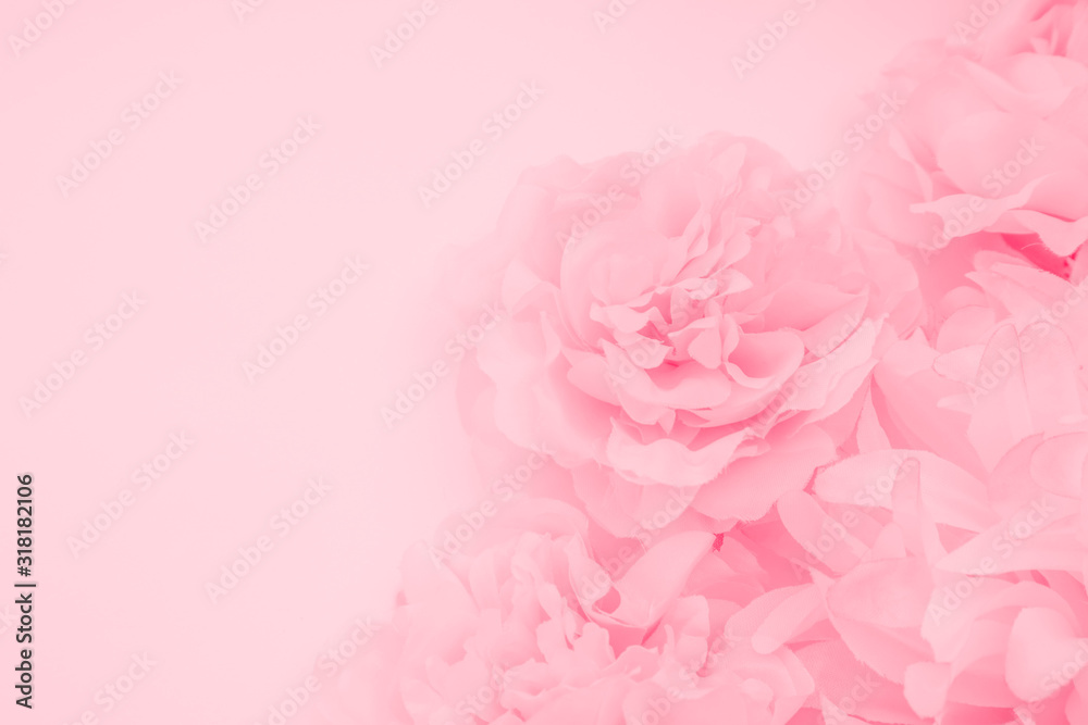 Beautiful abstract color orange purple and pink flowers on white background and white flower frame and pink leaves texture, light pink background, colorful pink banner happy valentine