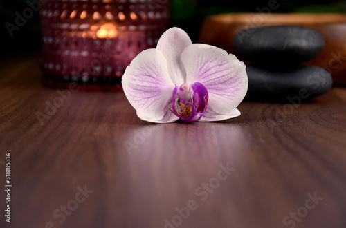 Purple orchid on a wooden background stock images. White orchid flower isolated on a wood background with copy space for text. Purple orchid flower with candle and lava stones stock images