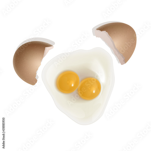 illustration of egg with two yolk, realistic Fried egg with with a broken shell isolated on white background, vector illustration. Top view