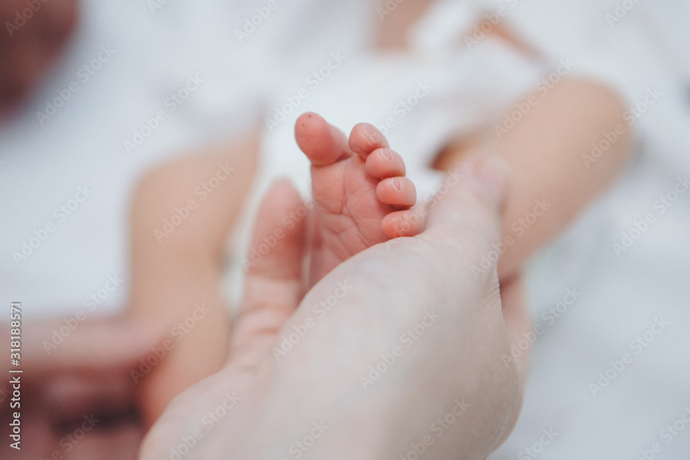 Newborn Baby's feet. Mother and father holding newborn baby legs,legs massage concept of childhood, health care, IVF, hygiene Newborn Baby's feet. Mother and father holding newborn baby legs,legs massage concept of childhood, health care, IVF, hygiene