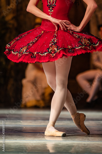 Fotografie Don Quixote ballet. Closeup of ballerinas dancing