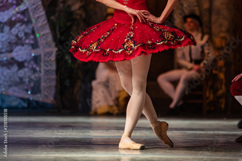 Don Quixote ballet. Closeup of ballerinas dancing