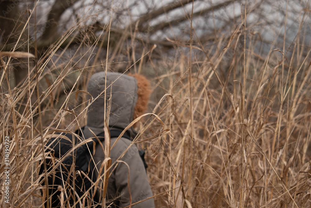 Obraz premium Man with hood in jacket and backpack standing in grass. Man hiding in tall grass. Refugee trying to cross the border illegaly.