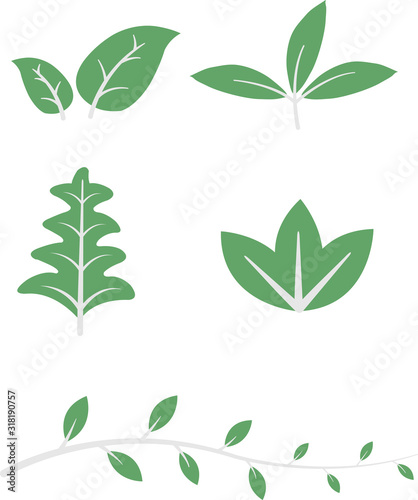 Green Leaf Icon Flat Design.