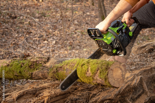 Green chainsaw cutting big wood on the ground. Logging in the forest.